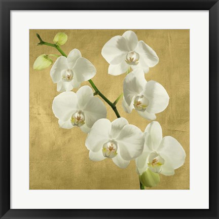 Framed Orchids on a Golden Background I Print