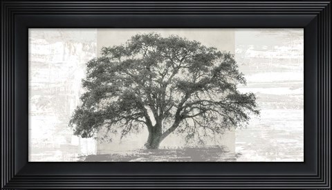 Framed Ash Tree Panel Print