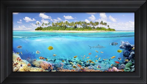 Framed Coral Reef Print