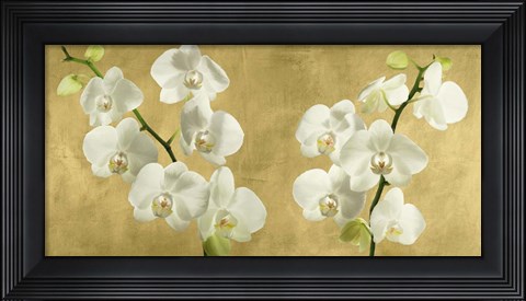 Framed Orchids on a Golden Background Print