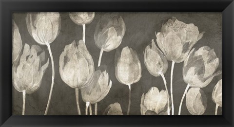 Framed Washed Tulips Print