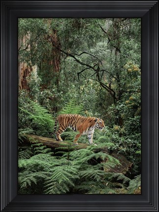 Framed In the Jungle Print