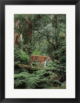 Framed In the Jungle Print