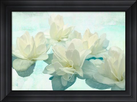 Framed Nympheas Print