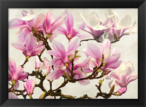 Framed Magnolia Branch (neutral) Print