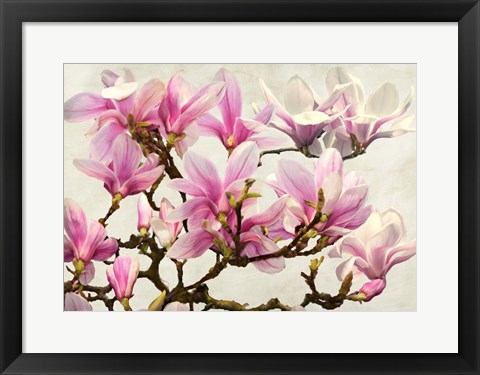 Framed Magnolia Branch (neutral) Print