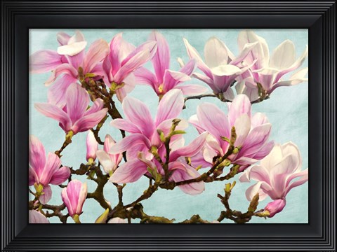 Framed Magnolia Branch (turquoise) Print