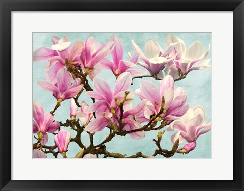 Framed Magnolia Branch (turquoise) Print