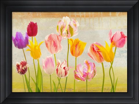 Framed Tulipani d&#39;estate Print