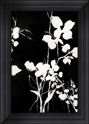 Framed Silhouette Leaves 1 Print