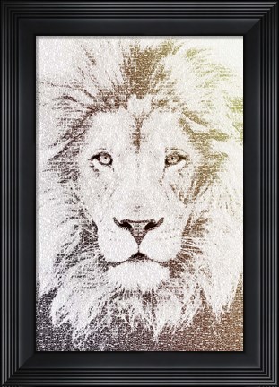 Framed Lion Print