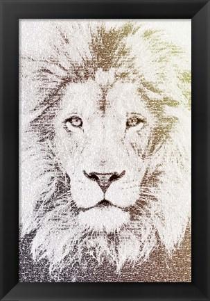 Framed Lion Print