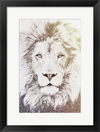 Framed Lion Print