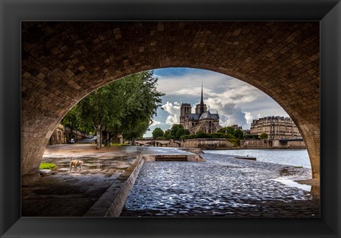 Framed Chien et Notre Dame Print