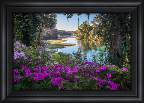 Framed Rainbow Springs Print