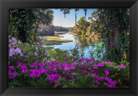 Framed Rainbow Springs Print