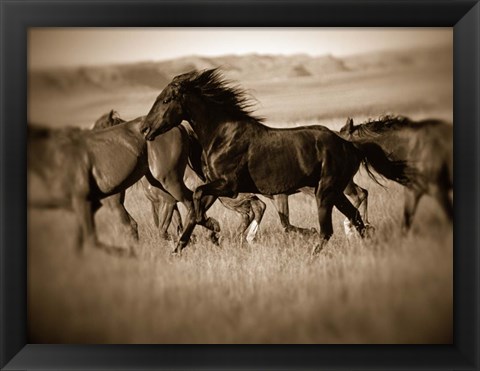 Framed Dark Horse Print