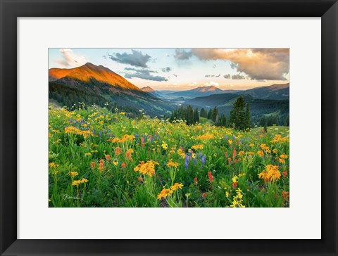 Framed Wash Gulch Wild Print