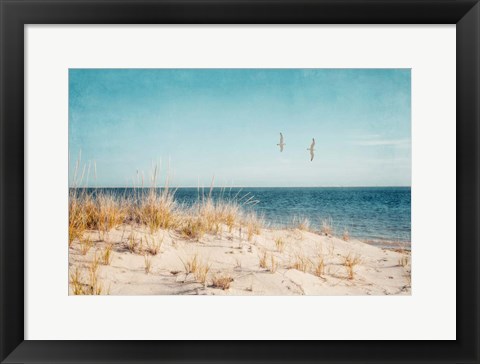 Framed Beach &amp; Gulls Print