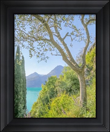 Framed Lago di Como View No. 2 Print
