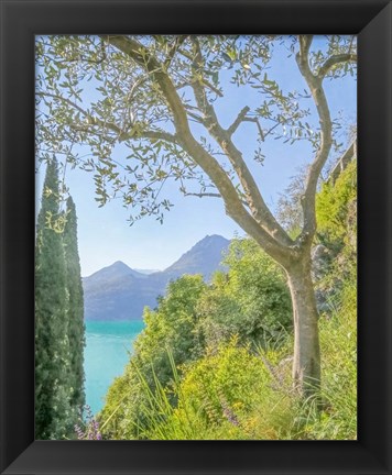 Framed Lago di Como View No. 2 Print