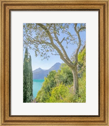Framed Lago di Como View No. 2 Print