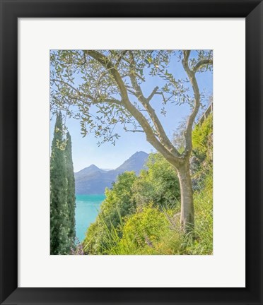 Framed Lago di Como View No. 2 Print