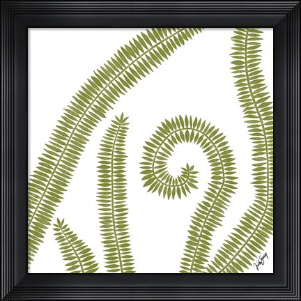 Framed Curly Fern Print
