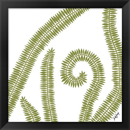 Framed Curly Fern Print