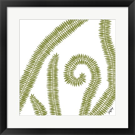 Framed Curly Fern Print