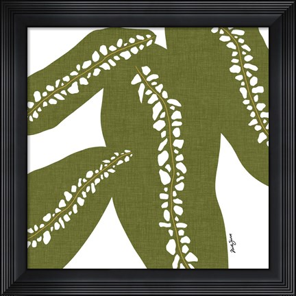 Framed Rhaphido Print