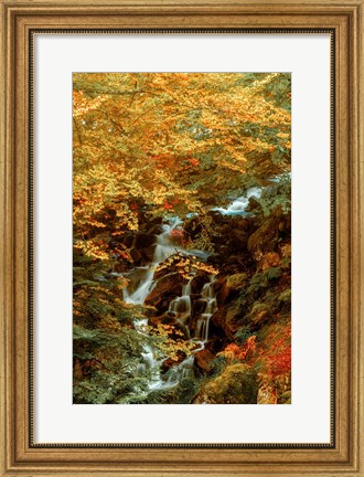 Framed Hidden Waterfall Print