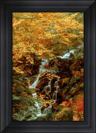 Framed Hidden Waterfall Print