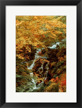 Framed Hidden Waterfall Print