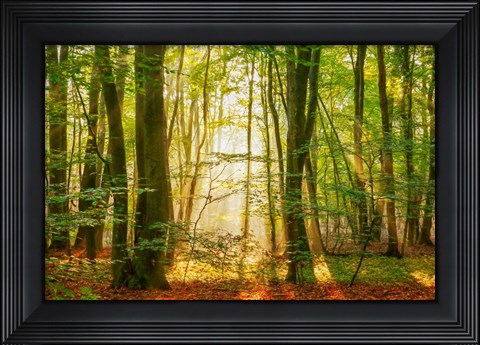 Framed Power Beam Print