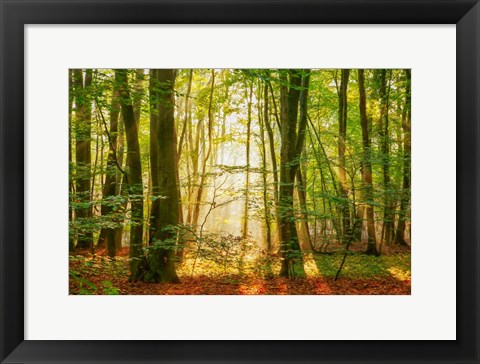Framed Power Beam Print