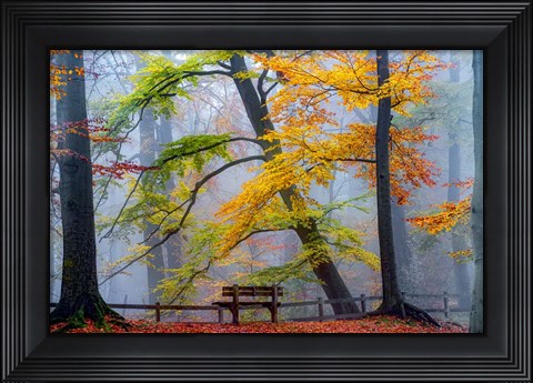Framed Take A Seat And Enjoy Print