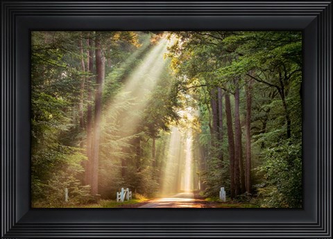 Framed This Beam is Booming Print