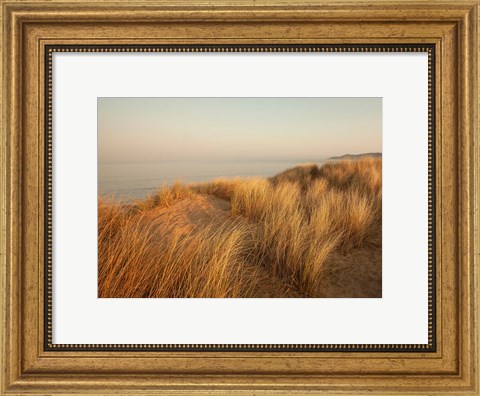 Framed Dunes with Seagulls 7 Print