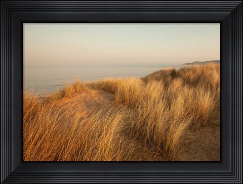 Framed Dunes with Seagulls 7 Print