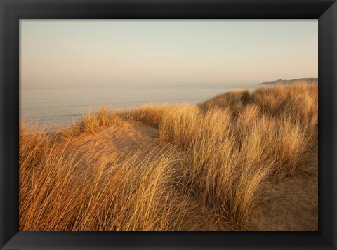 Framed Dunes with Seagulls 7 Print