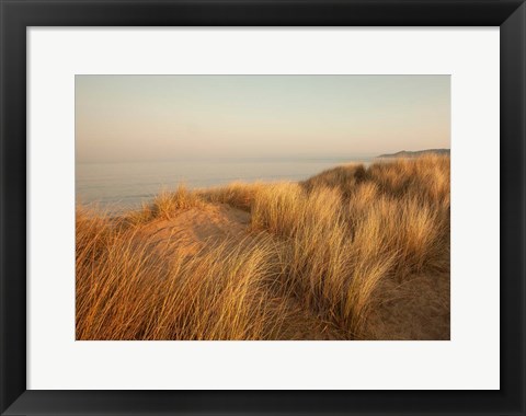 Framed Dunes with Seagulls 7 Print