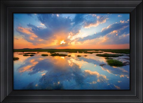Framed Plum Island Print