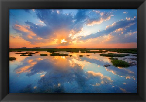 Framed Plum Island Print