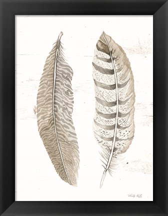 Framed Feather II Print