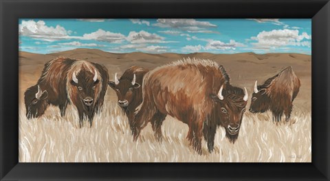 Framed Bison Herd I Print