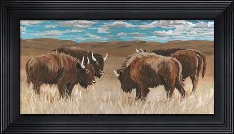 Framed Bison Herd II Print