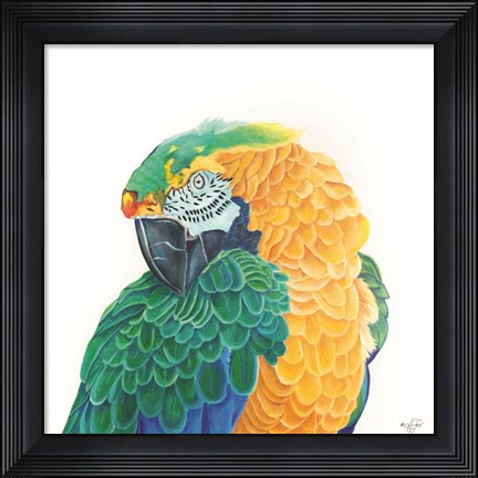 Framed Coyness Print