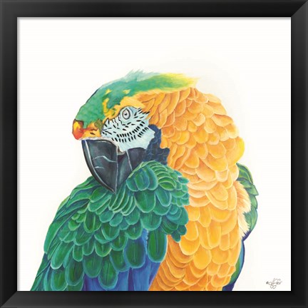 Framed Coyness Print