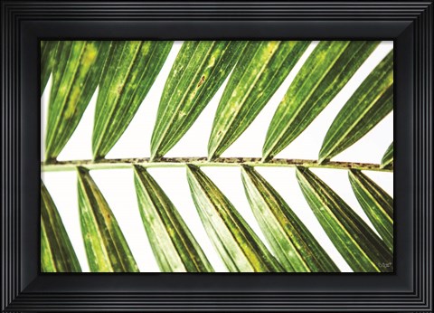 Framed Leaf Study I Print